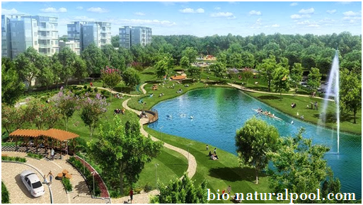Kỷ thuật hồ cảnh quan và thủy sinh